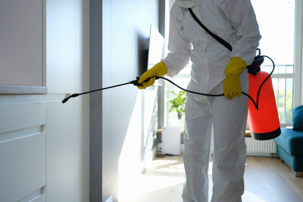 Best Mold Cleaning Services  in Hauula, HI