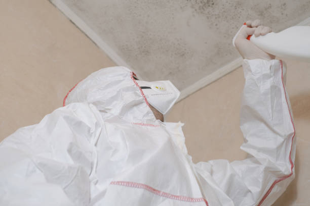 Best Toxic Mold Removal  in Hauula, HI